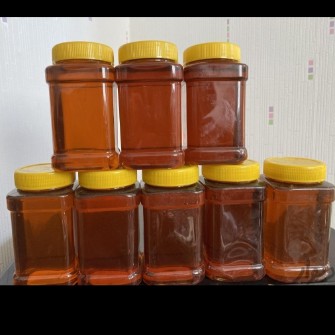  دامپروری | عسل انواع عسل