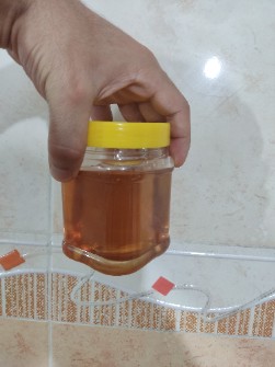  دامپروری | عسل عسل تغذیه ازمایشی و شکری