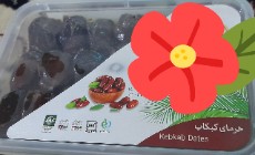  میوه | خرما کبکاب بوشهر