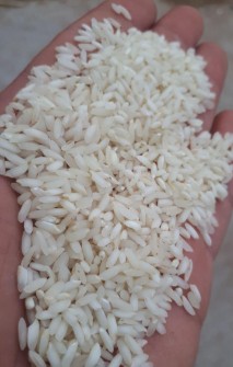  غلات | برنج برنج عنبربو اعلا