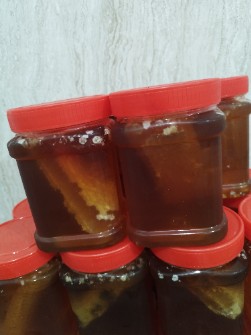  دامپروری | عسل عسل طبیعی موم دار