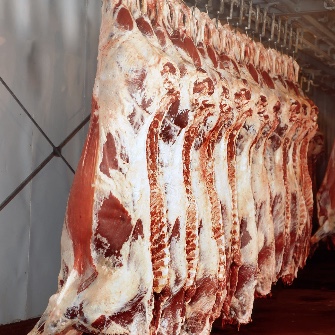 مواد پروتئینی | گوشت لاشه گوساله