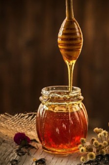  دامپروری | عسل چهل گیاه،گون،آویشن