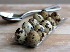  مواد پروتئینی | تخم مرغ فروش تخم بلدرچین