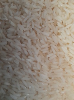  غلات | برنج برج هاشمی درجه یک