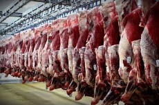  مواد پروتئینی | گوشت گوشت گوساله نر گرم