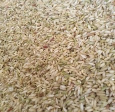  غلات | برنج برنج سبوسدار