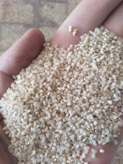 غلات | برنج برنج نیم دانه عنبر بو