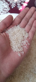  غلات | برنج برنج طارم و فجر
