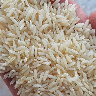  غلات | برنج طارم اصل