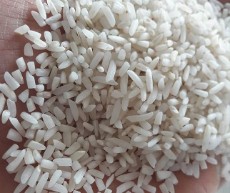  غلات | برنج برنج هاشمی گیلان سرلاشه درجه یک
