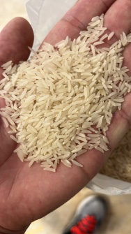  غلات | برنج فجر