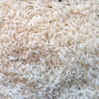 غلات | برنج هاشمی ممتاز