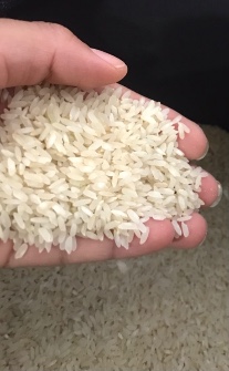  غلات | برنج چمپا فلارد