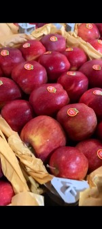 میوه | سیب سیب قرمر درجه 1 صادراتی