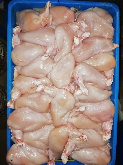  مواد پروتئینی | گوشت مرغ وقطعات مرغ