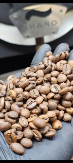  نوشیدنی | قهوه ربوستا اوگاندا