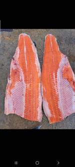  مواد پروتئینی | ماهی سالمون دریایی