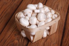  صیفی | قارچ قارچ دکمه ای صادراتی