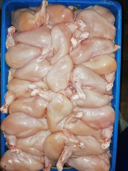  مواد پروتئینی | فرآورده گوشتی مرغ وقطعات مرغ