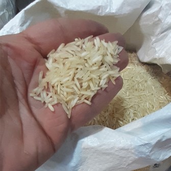  غلات | برنج برنج هندی دونه طلا1121