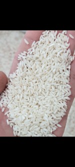 غلات | برنج برنج عنبربو حاج احمد