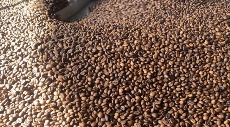  نوشیدنی | قهوه ربوستا- عربیکا- میکس- پودریجات