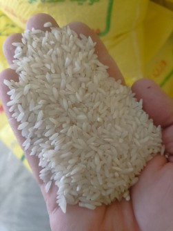  غلات | برنج برنج عنبربو خوزستان دزفول