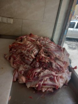  مواد پروتئینی | گوشت قلوگاه گوسفندی منجمد وتازه ایرانی درجه یک