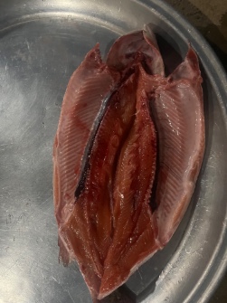 مواد پروتئینی | ماهی سالمون صادراتی