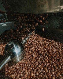  نوشیدنی | قهوه قهوه ویتنام روبوستا