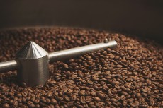  نوشیدنی | قهوه قهوه اوگاندا روبوستا