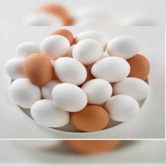  مواد پروتئینی | تخم مرغ طبیعی