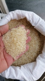  غلات | برنج هندی 1121 دانه بلند