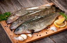  مواد پروتئینی | ماهی ماهی قزل فرانسوی