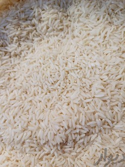  غلات | برنج طارم دم سیاه