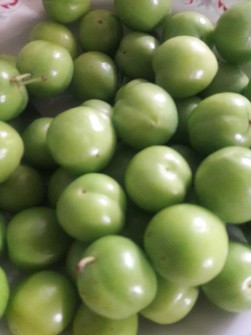  میوه | آلبالو گوجه سبز