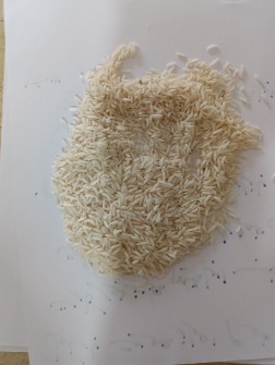  غلات | برنج برنج هاشمی دم سیاه و هاشمی طارم روشن