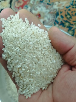 غلات | برنج برنج عنبربو نیم دانه خوزستان دزفول