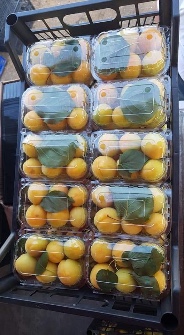 میوه | زردآلو زردآلو صادراتی