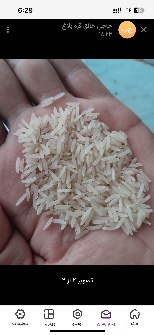  غلات | برنج فجر