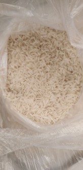  غلات | برنج هاشمی طارم کشت دوم