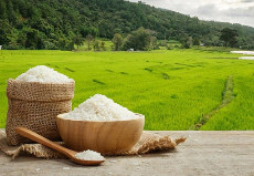  غلات | برنج برنج طارم هاشمی فوق اعلا و شکر فله ای ایرانی