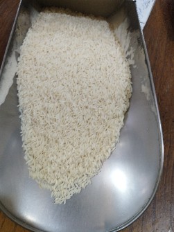  غلات | برنج هاشمی .طارم