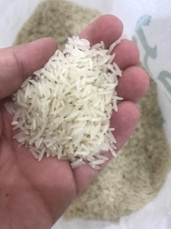  غلات | برنج برنج فجر اعلاء معطر