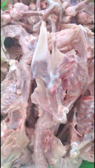  مواد پروتئینی | گوشت اسکلت مرغ گوشتی پا و قلم مرغ
