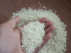  غلات | برنج برنج هاشمی