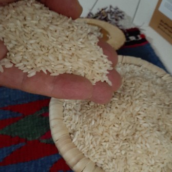  غلات | برنج برنج عنبر بو امامی