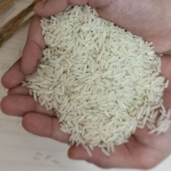  غلات | برنج هاشمی درجه 1 سورت نشده