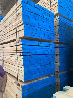  مصالح ساختمانی | چوب چوب راش استانبول سوپر